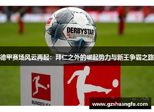 德甲赛场风云再起：拜仁之外的崛起势力与新王争霸之路