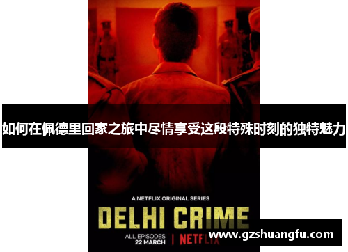 如何在佩德里回家之旅中尽情享受这段特殊时刻的独特魅力