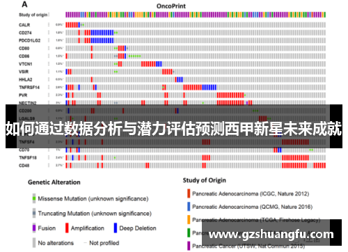 如何通过数据分析与潜力评估预测西甲新星未来成就